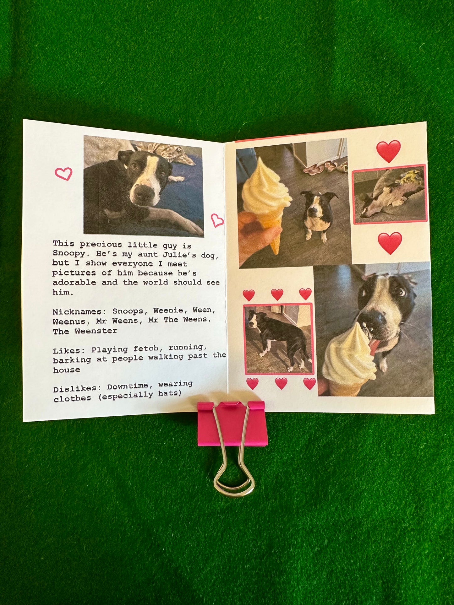 The Weenie Zine!!